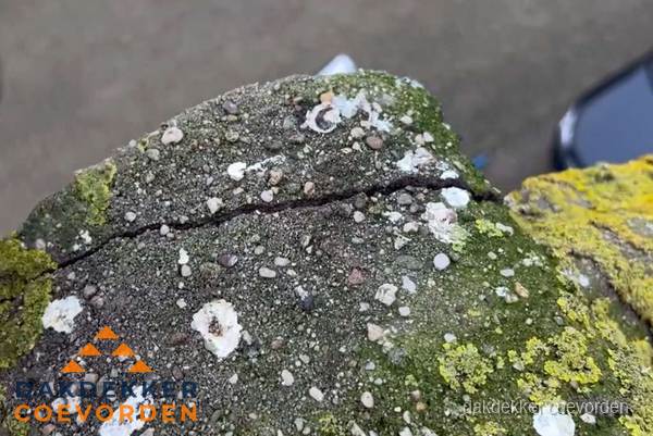 Beschadigde en verweerde nokvorst met scheuren en mos in Coevorden