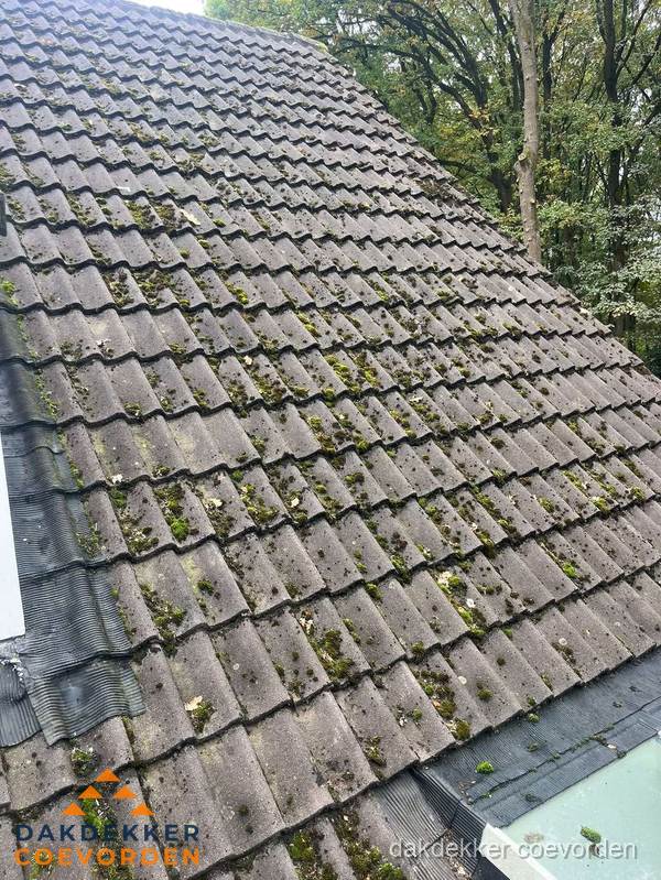 Verweerd pannendak met mosgroei dat renovatie nodig heeft in Coevorden