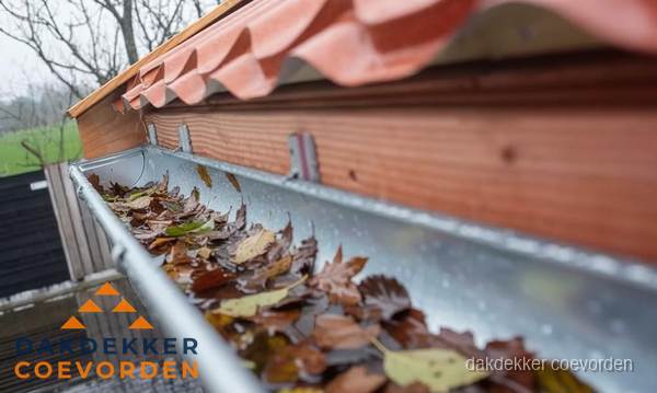Dakgoot vol bladeren die gereinigd moet worden in Coevorden Dakgoot vol bladeren die gereinigd moet worden in Coevorden