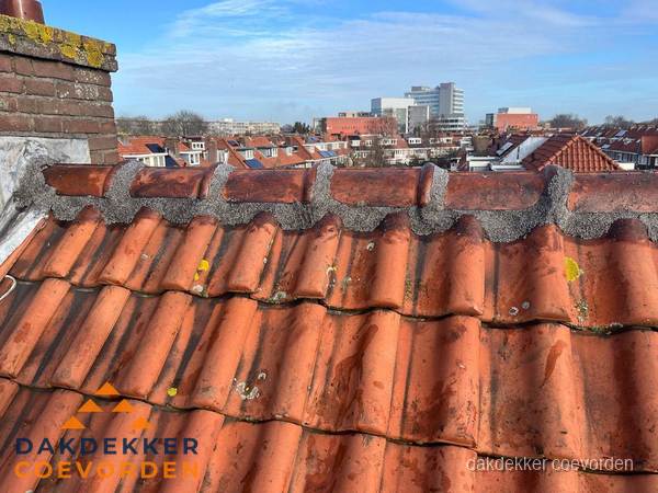 Pannendak met nokvorst en schoorsteen, dakrenovatie in Coevorden Pannendak met nokvorst en schoorsteen, dakrenovatie in Coevorden