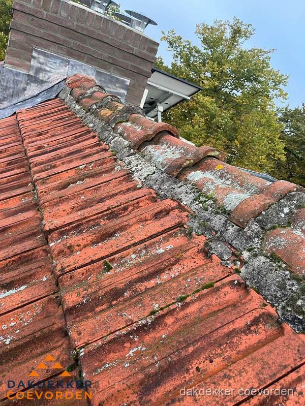 Verweerd hellend dak met mosgroei op nokvorst in Coevorden Verweerd hellend dak met mosgroei op nokvorst in Coevorden